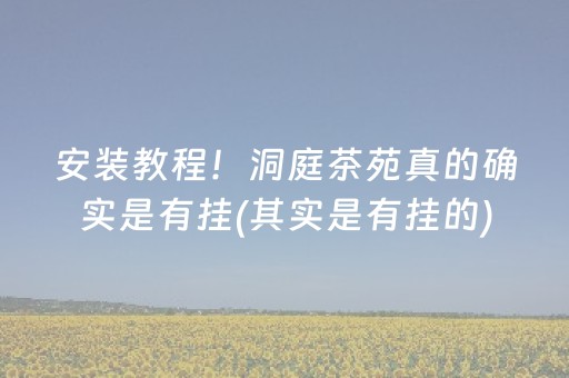 安装教程！洞庭茶苑真的确实是有挂(其实是有挂的)