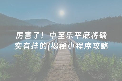 厉害了！中至乐平麻将确实有挂的(揭秘小程序攻略插件)