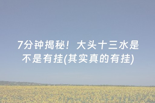 7分钟揭秘！大头十三水是不是有挂(其实真的有挂)