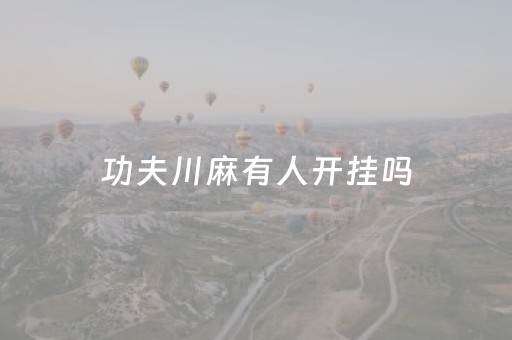 功夫川麻有人开挂吗（功夫川麻怎么才能赢）