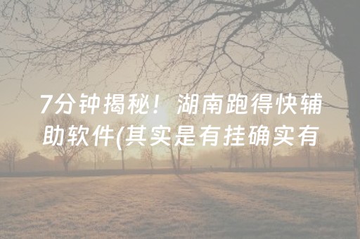 7分钟揭秘！湖南跑得快辅助软件(其实是有挂确实有挂)