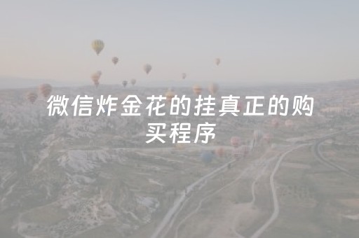 微信炸金花的挂真正的购买程序（微信炸金花 挂 试用）