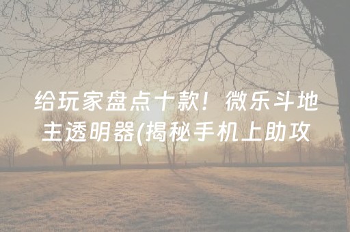 给玩家盘点十款！微乐斗地主透明器(揭秘手机上助攻神器)