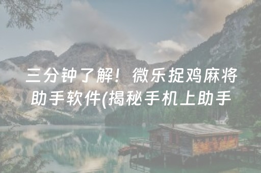 三分钟了解！微乐捉鸡麻将助手软件(揭秘手机上助手软件)