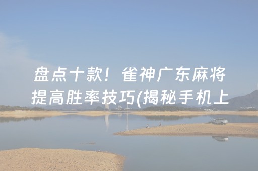 盘点十款！雀神广东麻将提高胜率技巧(揭秘手机上必备神器)