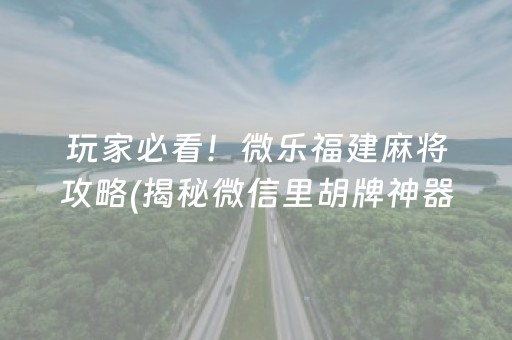 玩家必看！微乐福建麻将攻略(揭秘微信里胡牌神器)