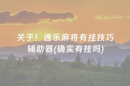 关于！逸乐麻将有挂技巧辅助器(确实有挂吗)