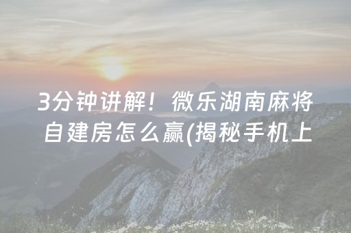 3分钟讲解！微乐湖南麻将自建房怎么赢(揭秘手机上专用神器下载)