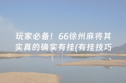 玩家必备！66徐州麻将其实真的确实有挂(有挂技巧辅助器)