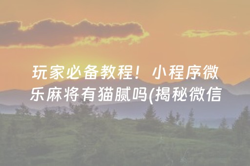 玩家必备教程！小程序微乐麻将有猫腻吗(揭秘微信里必备神器)