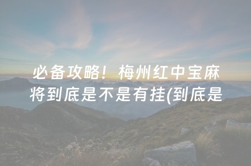 必备攻略！梅州红中宝麻将到底是不是有挂(到底是不是有挂)