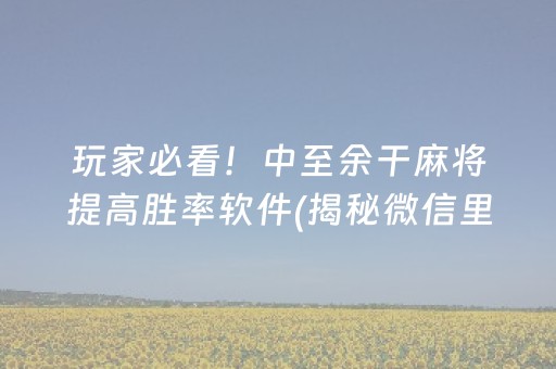 玩家必看！中至余干麻将提高胜率软件(揭秘微信里胡牌技巧)