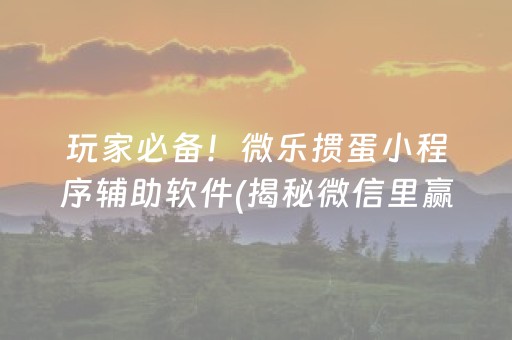 玩家必备！微乐掼蛋小程序辅助软件(揭秘微信里赢牌的技巧)