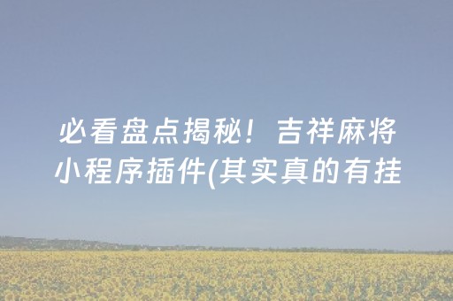 必看盘点揭秘！吉祥麻将小程序插件(其实真的有挂)