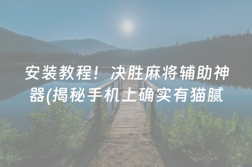 安装教程！决胜麻将辅助神器(揭秘手机上确实有猫腻)