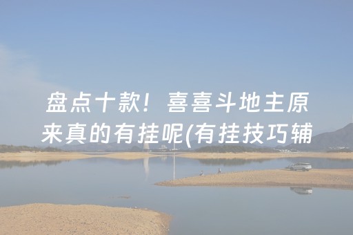 盘点十款！喜喜斗地主原来真的有挂呢(有挂技巧辅助器)