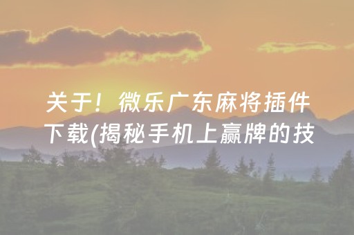 关于！微乐广东麻将插件下载(揭秘手机上赢牌的技巧)