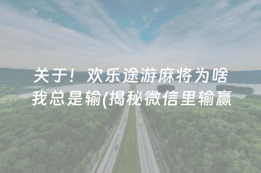 关于！欢乐途游麻将为啥我总是输(揭秘微信里输赢规律)
