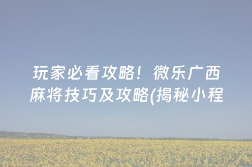 玩家必看攻略！微乐广西麻将技巧及攻略(揭秘小程序最新神器下载)