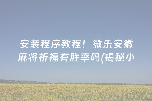安装程序教程！微乐安徽麻将祈福有胜率吗(揭秘小程序助赢软件)
