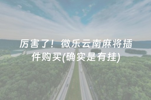 厉害了！微乐云南麻将插件购买(确实是有挂)