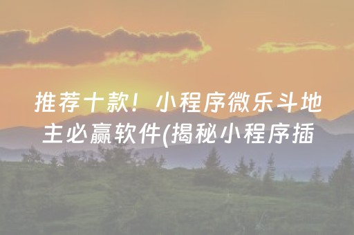 推荐十款！小程序微乐斗地主必赢软件(揭秘小程序插件下载)