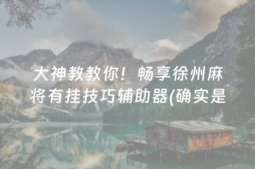 大神教教你！畅享徐州麻将有挂技巧辅助器(确实是有挂的)