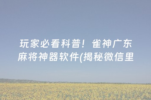 玩家必看科普！雀神广东麻将神器软件(揭秘微信里必备神器)