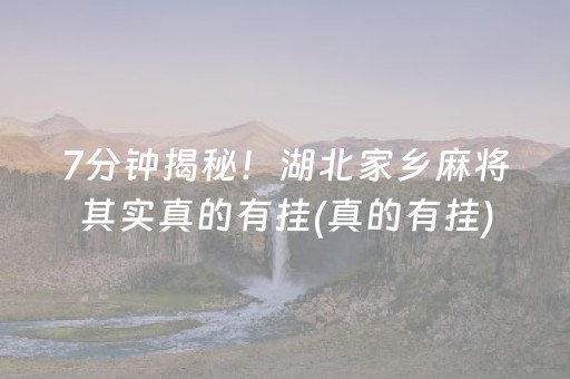 7分钟揭秘！湖北家乡麻将其实真的有挂(真的有挂)