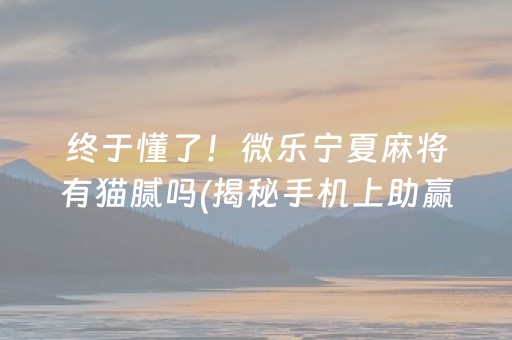 终于懂了！微乐宁夏麻将有猫腻吗(揭秘手机上助赢软件)