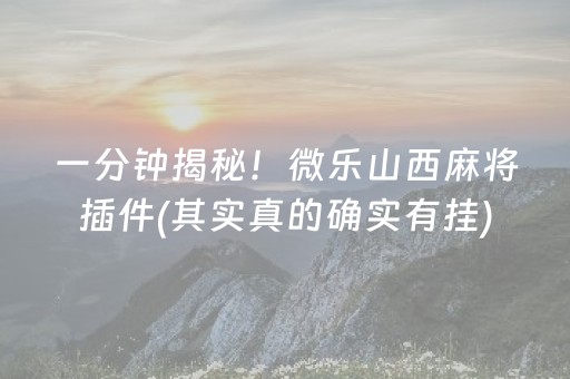 一分钟揭秘！微乐山西麻将插件(其实真的确实有挂)