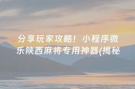 分享玩家攻略！小程序微乐陕西麻将专用神器(揭秘手机上赢的诀窍)