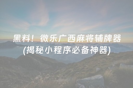黑料！微乐广西麻将辅牌器(揭秘小程序必备神器)