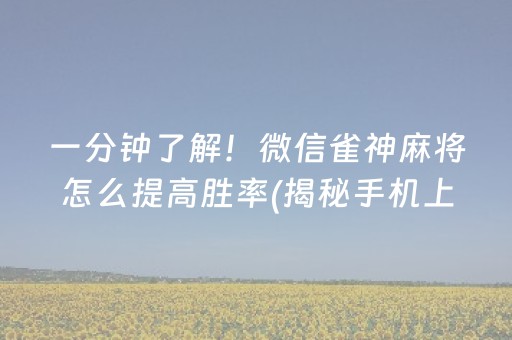 一分钟了解！微信雀神麻将怎么提高胜率(揭秘手机上插件购买)