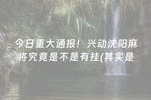 今日重大通报！兴动沈阳麻将究竟是不是有挂(其实是有挂确实有挂)