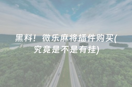 黑料！微乐麻将插件购买(究竟是不是有挂)
