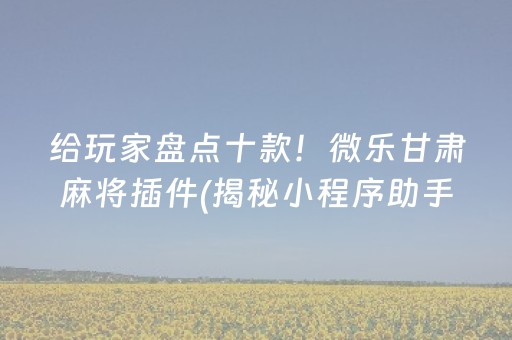 给玩家盘点十款！微乐甘肃麻将插件(揭秘小程序助手软件)