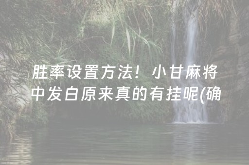 胜率设置方法！小甘麻将中发白原来真的有挂呢(确实是有挂)
