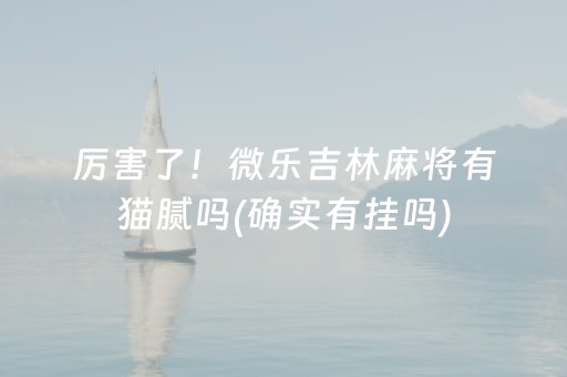 厉害了！微乐吉林麻将有猫腻吗(确实有挂吗)