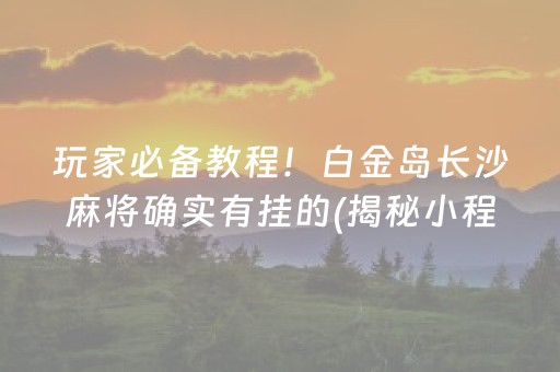 玩家必备教程！白金岛长沙麻将确实有挂的(揭秘小程序胡牌神器)