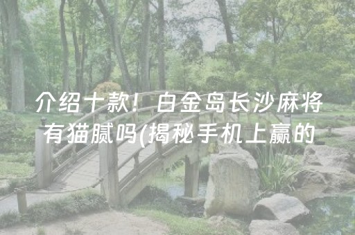 介绍十款！白金岛长沙麻将有猫腻吗(揭秘手机上赢的诀窍)
