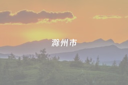 滁州市（滁州市委常委）
