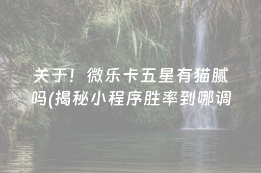 关于！微乐卡五星有猫腻吗(揭秘小程序胜率到哪调)