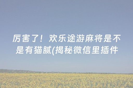 厉害了！欢乐途游麻将是不是有猫腻(揭秘微信里插件下载)