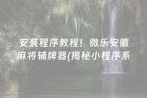 安装程序教程！微乐安徽麻将辅牌器(揭秘小程序系统发好牌)