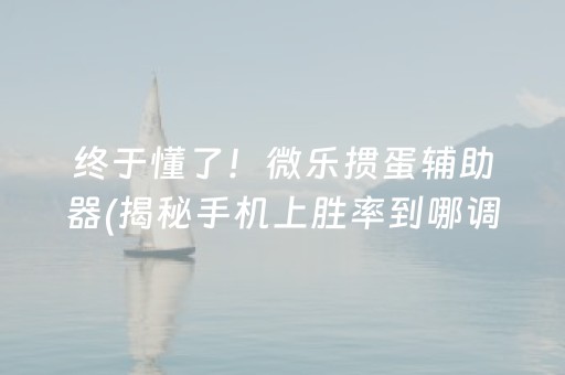 终于懂了！微乐掼蛋辅助器(揭秘手机上胜率到哪调)