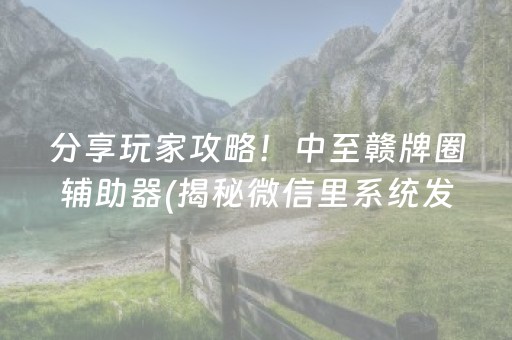 分享玩家攻略！中至赣牌圈辅助器(揭秘微信里系统发好牌)