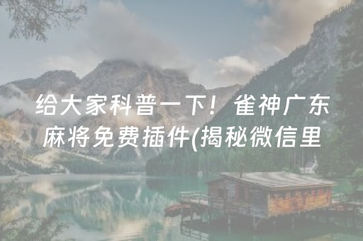 给大家科普一下！雀神广东麻将免费插件(揭秘微信里必备神器)