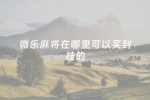 微乐麻将在哪里可以买到挂的（微乐麻将在哪里可以买到挂的牌）