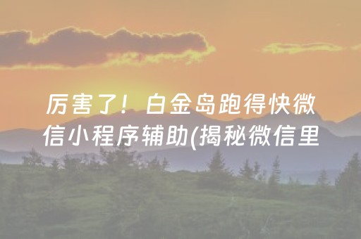 厉害了！白金岛跑得快微信小程序辅助(揭秘微信里系统发好牌)